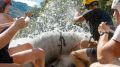 Tre giorni di rafting SUL TARA