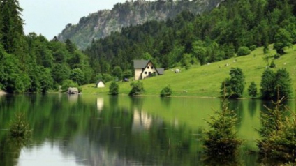 La natura selvaggia e il fiume selvaggio